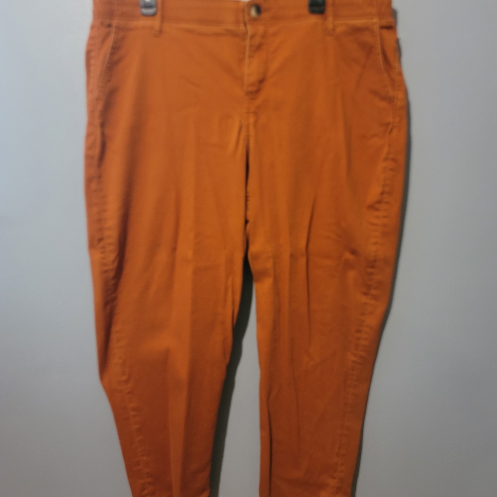 Stylish Burnt Orange Pants